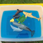 IMG 20230324 115641 1 150x150